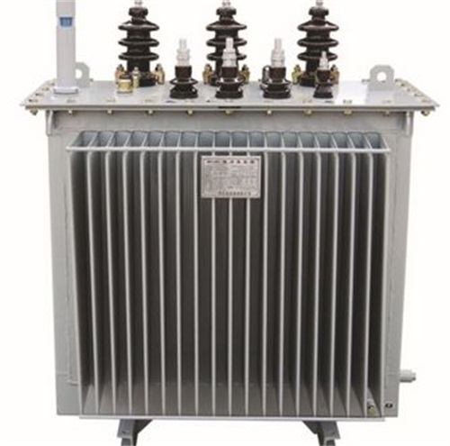 兴安盟S13-1000KVA/35KV/10KV/0.4KV油浸式变压器