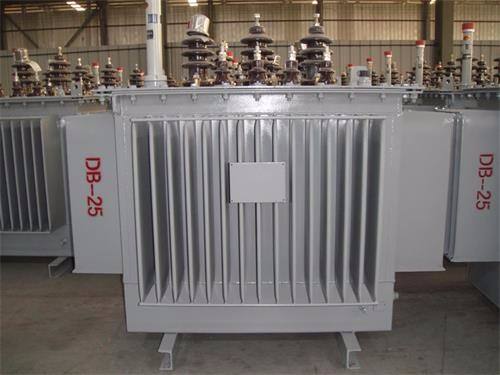 兴安盟S13-100KVA/10KV/0.4KV油浸式变压器